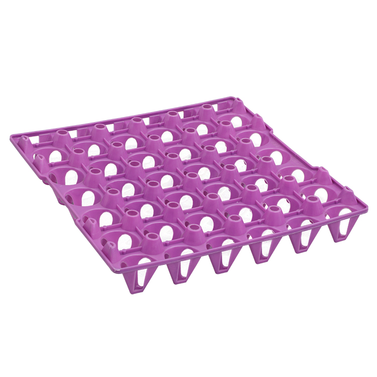 30 egg tray