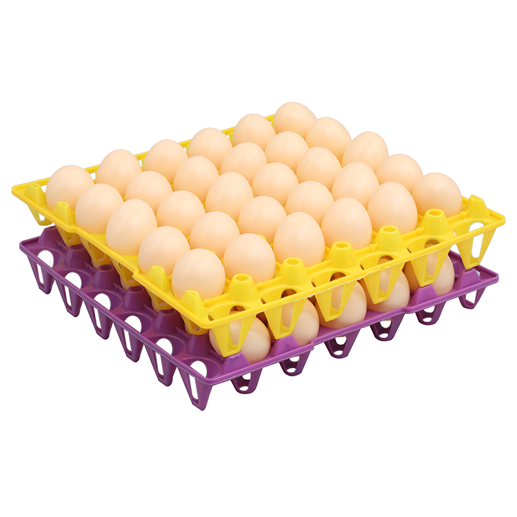 30 egg tray